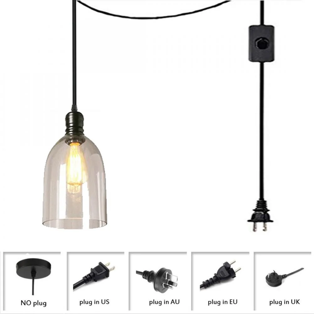 

Plug In Pendant Lighting Fixture, Hanging Ceiling Lighting Fixture, Bla Metal Lamp Holder with Clear Glass Lampshade
