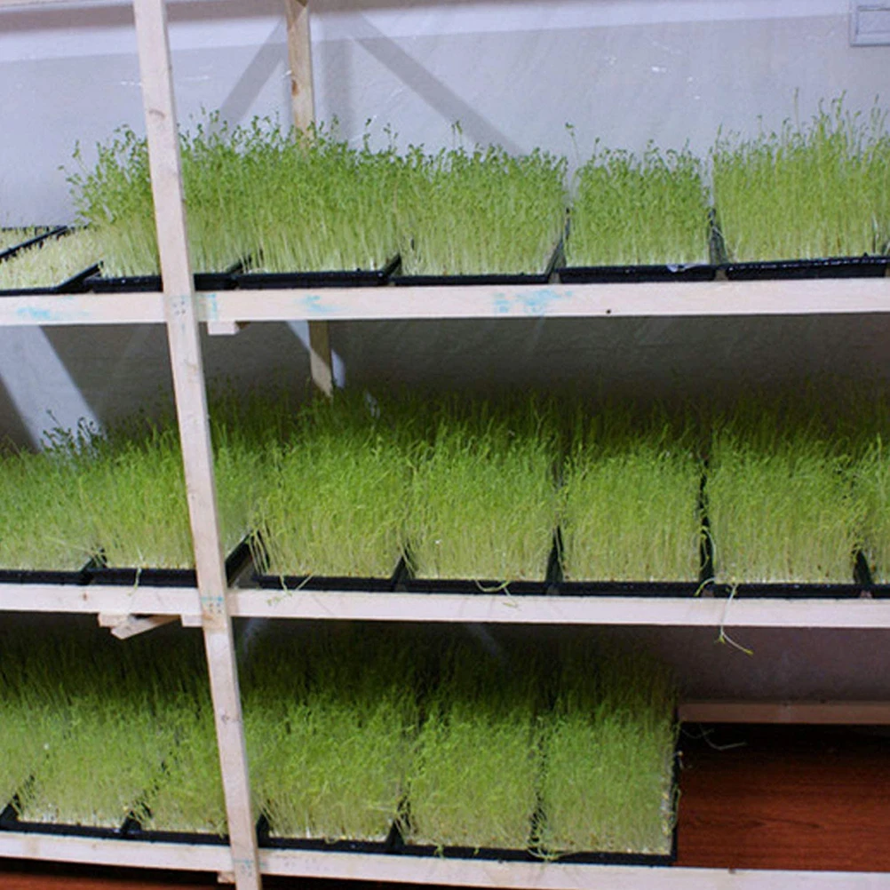 

2 pcs Cells Seedling Starter Tray Plastic Nursery Tray Bonsai Flower Pot Green Succulent Plants Pot Seed Grow Box Garden Decor