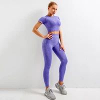 seamless women yoga set crop tops short sleeve shirt fitness pants workout clothes for women gym clothes yoga sport running set