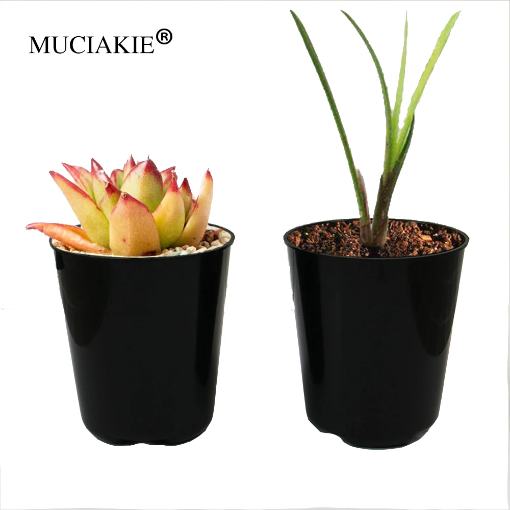 MUCIAKIE 2 шт. пластиковая маленькая черная орхидея суккулентная основа горшок для
