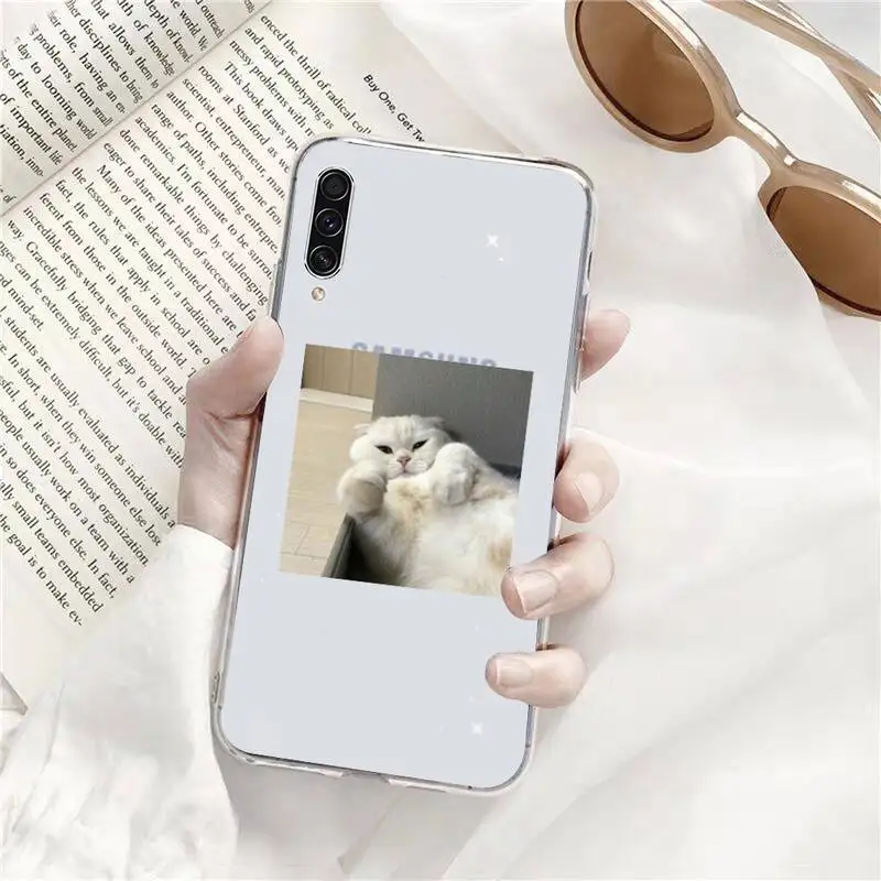 

cat animal cute pet Phone Case Transparent For Samsung Galaxy A71 A21s S8 S9 S10 plus note 20 ultra