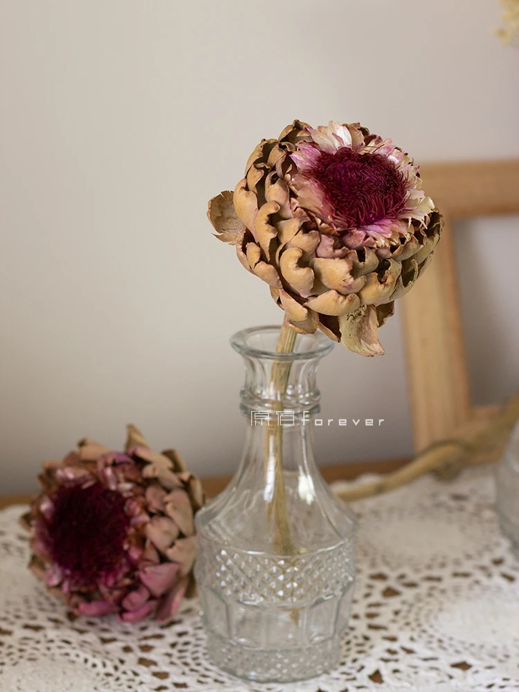 

South Africa Imported Flower Ba Wang Hua Yongsheng Dried Flower Home Furnishing Soft Decoration Window Display