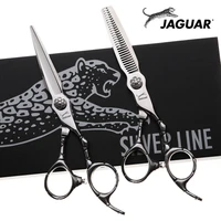 6 inch professional hairdressing scissors set cuttingthinning barber shears high quality personality hair scissors 30 teeth