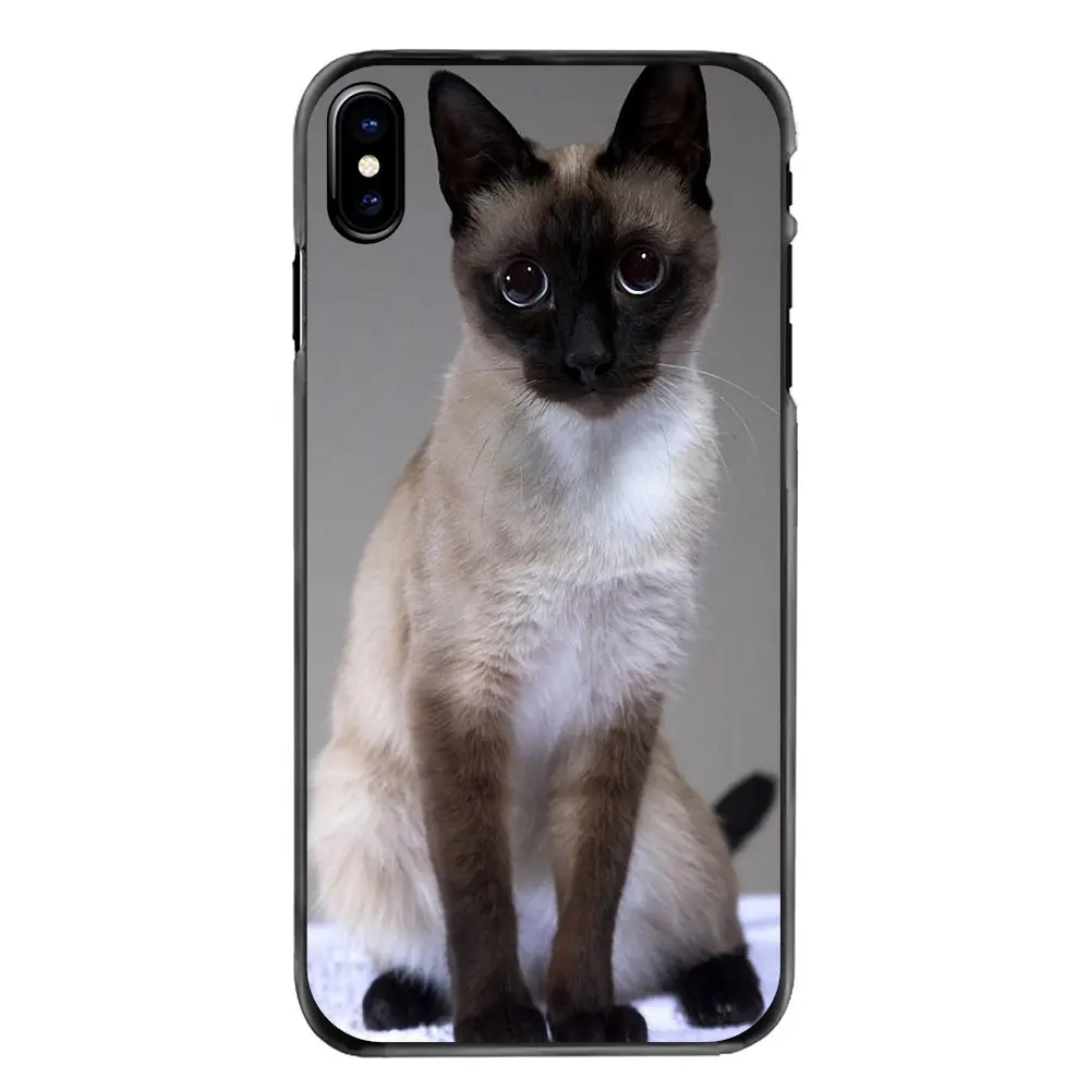 Blue Point The Traditional Siamese Cat For Samsung Galaxy A3 A5 A7 A8 J1 J2 J3 J5 J7 Prime 2015 2016 2017 Accessories Case Cover |