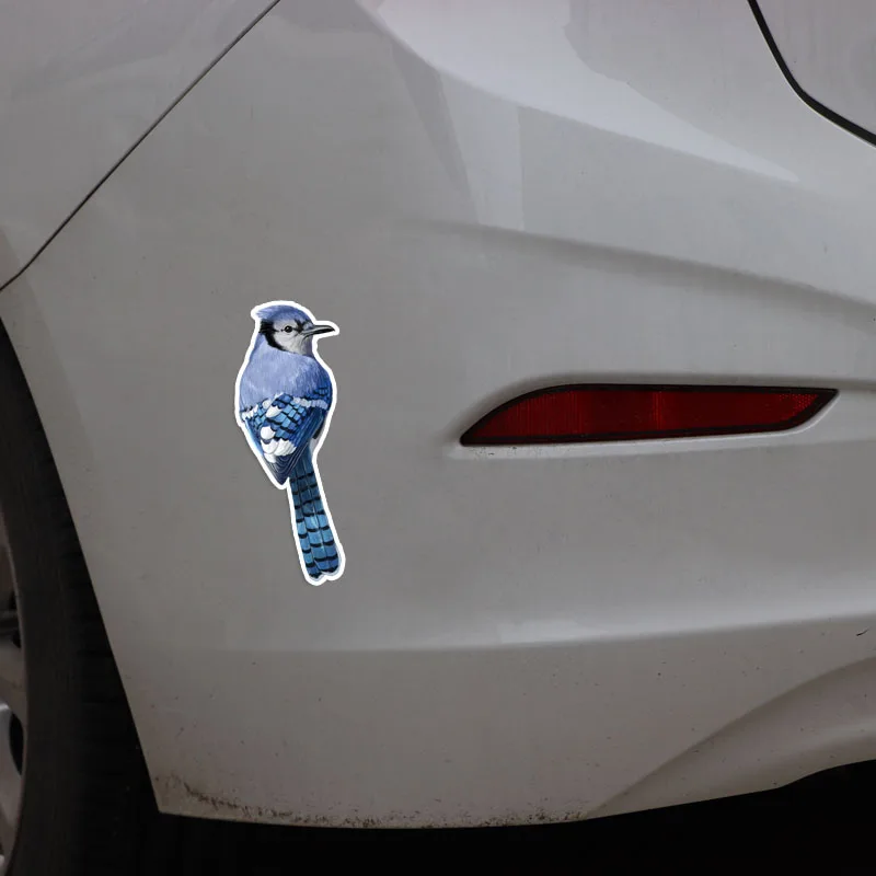 

Creative Car Sticker Birds Accessories Vinyl PVC 17cm*6cm Motorcycle Waterproof Windshield Car Window Car Styling Decal