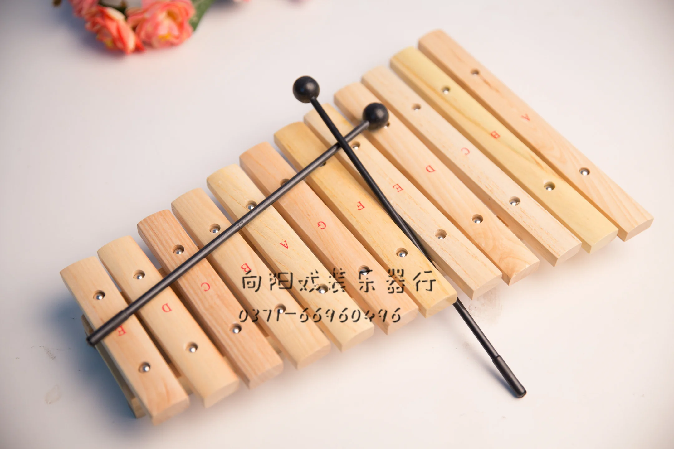 

12-Tone Xylophone Percussion Instrument