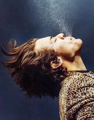 Harry Styles (Harry Styles) алмазная живопись портретный плакат Wall Art в британском