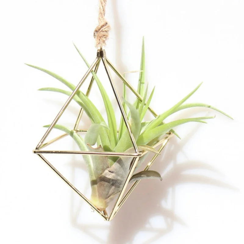 

Hanging Tillandsia Air Plants Rack Metal Geometric Iron Art Rustic Flower Planter Pot Hanging Plants Rack For Home Garden