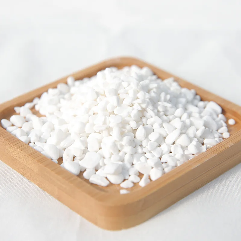 Белая галька Садово огородный сочные Пейзаж Растения украшения для цветочных