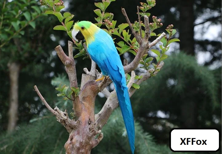 

cute real life parrot model foam&feather simulation turned blue parrot bird gift about 30cm xf2518