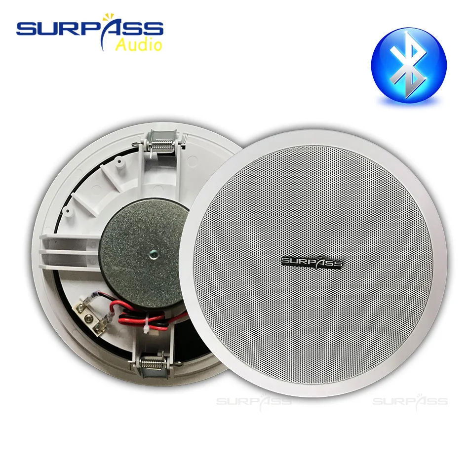 8-дюймовый PA системный динамик высокоэффективный Высокоточный цифровой