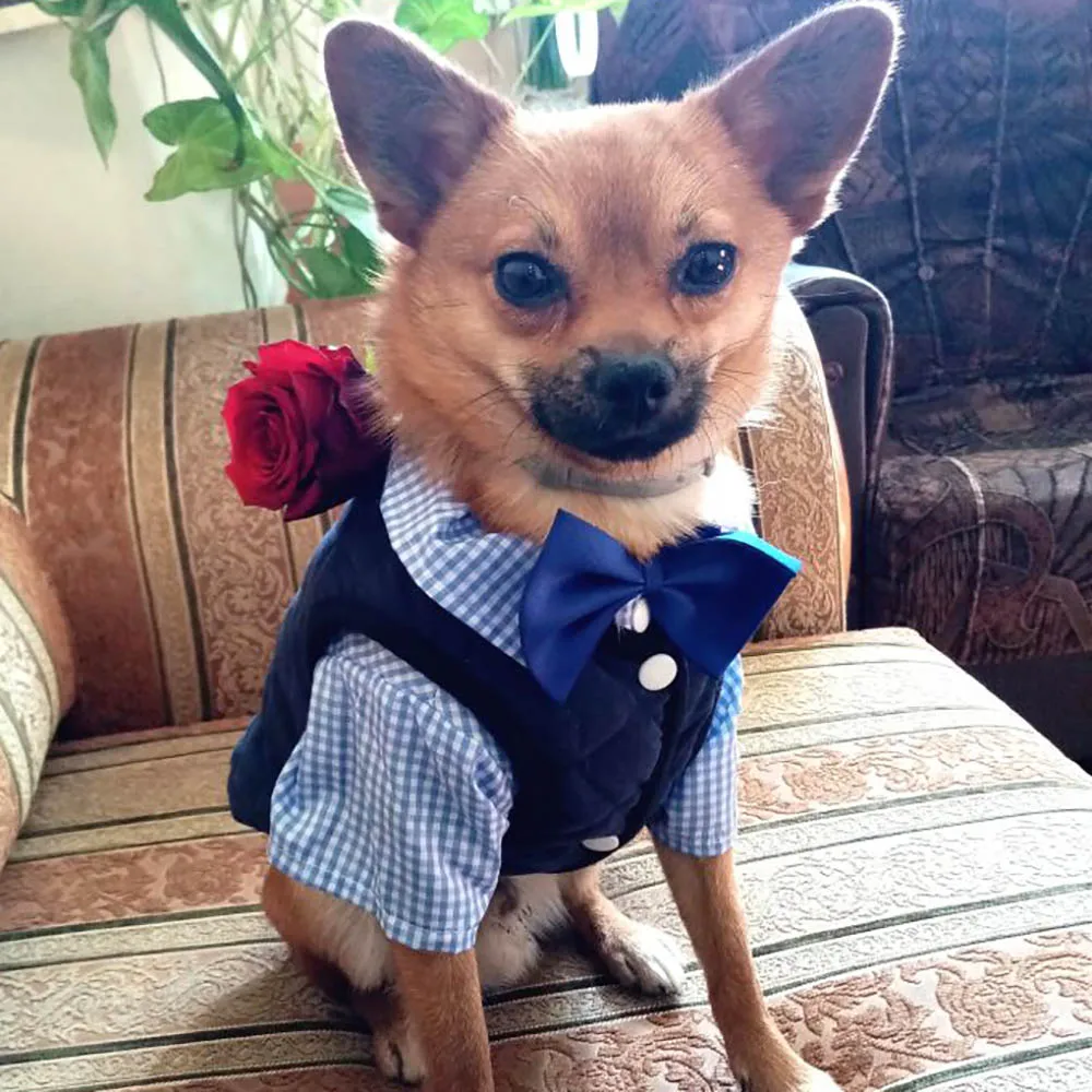 Летняя одежда для собак клетчатая рубашка маленьких средних чихуахуа Тедди