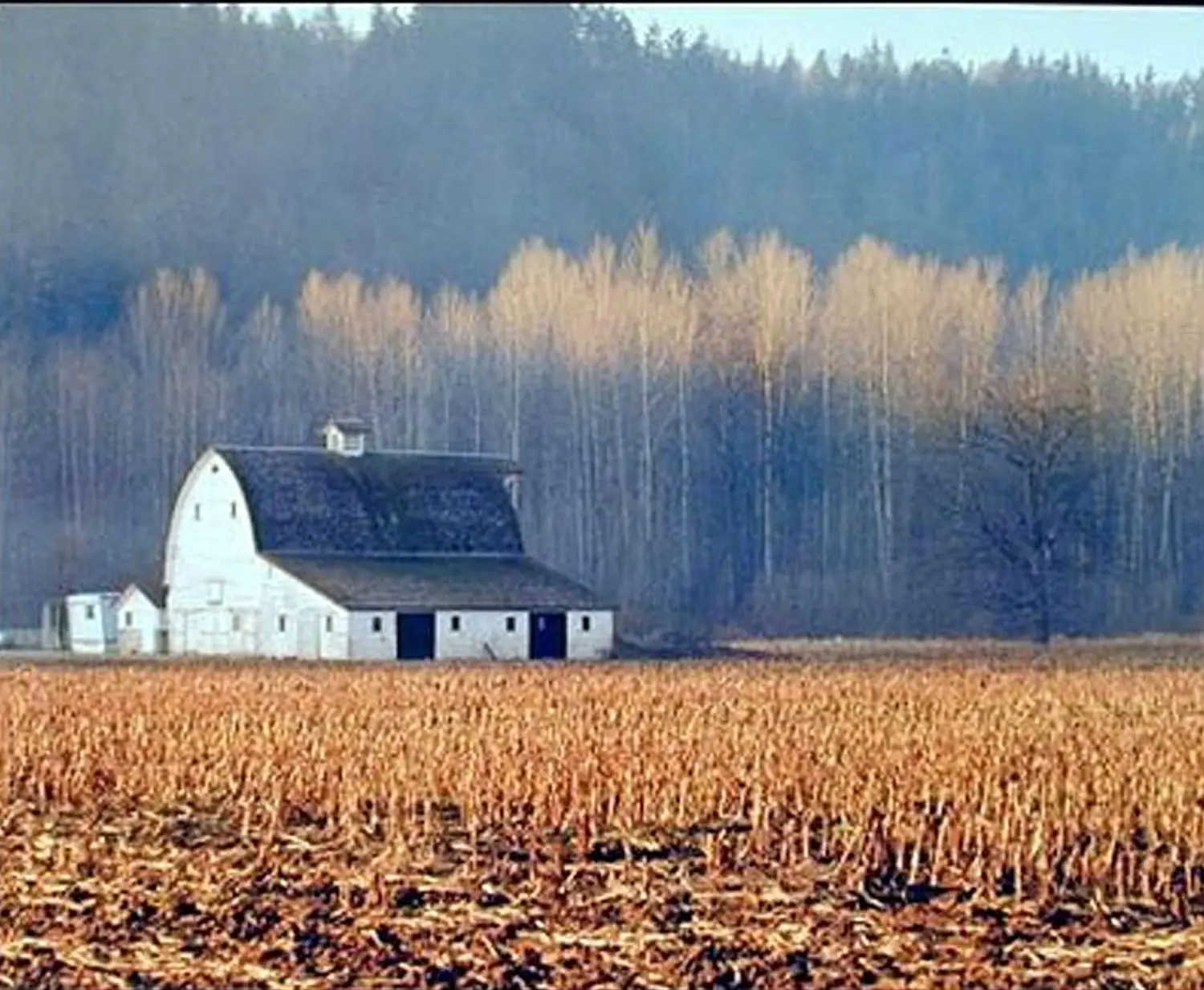 

Old Barn Wall Decor Field Lake Tree Landscape Nature Scenery Picture Set of Two Art Print Poster