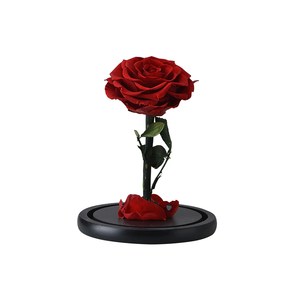 

HOT Rose In Flask Beauty And The Beast Red Rose With LED Light In Glass Dome For Wedding Party Decoration Anniversary Lover Gift