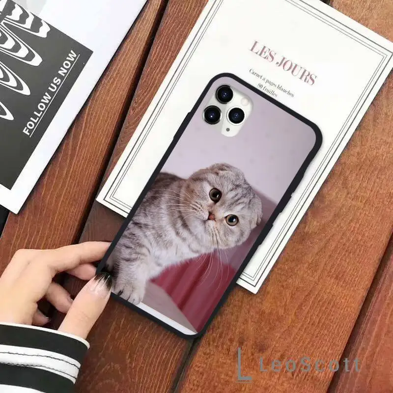 

cute cat Phone Case for iPhone 11 12 mini pro XS MAX 8 7 6 6S Plus X 5S SE 2020 XR