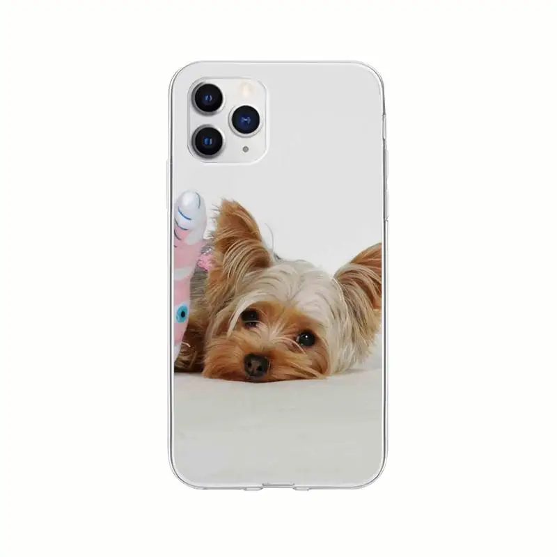 

Women Yorkshire Terrier Dog Puppy Transparent Mobile Phone Case Clear Cover For Honor 8X 10i 20i 20 Lite