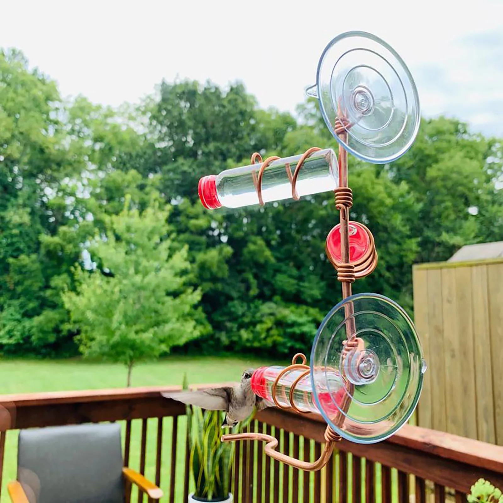 

Courtyard Bird Feeder Red Berries Humming Bird Feeder 3 Feeding Bottles