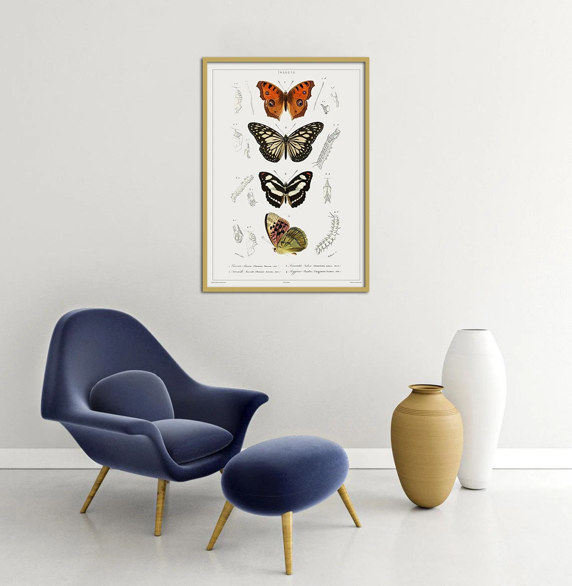 ВИНТАЖНЫЙ ПЛАКАТ с бабочками принт бабочкой плакат карлезом дессалинами