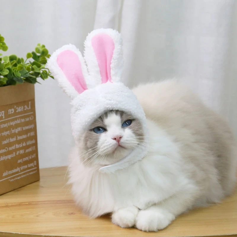 

Pet Hat Costume Warm Rabbit Hat Props Headwear Soft Cashmere Kitten Cap Halloween/Christmas Present Cosplay Pet Needs