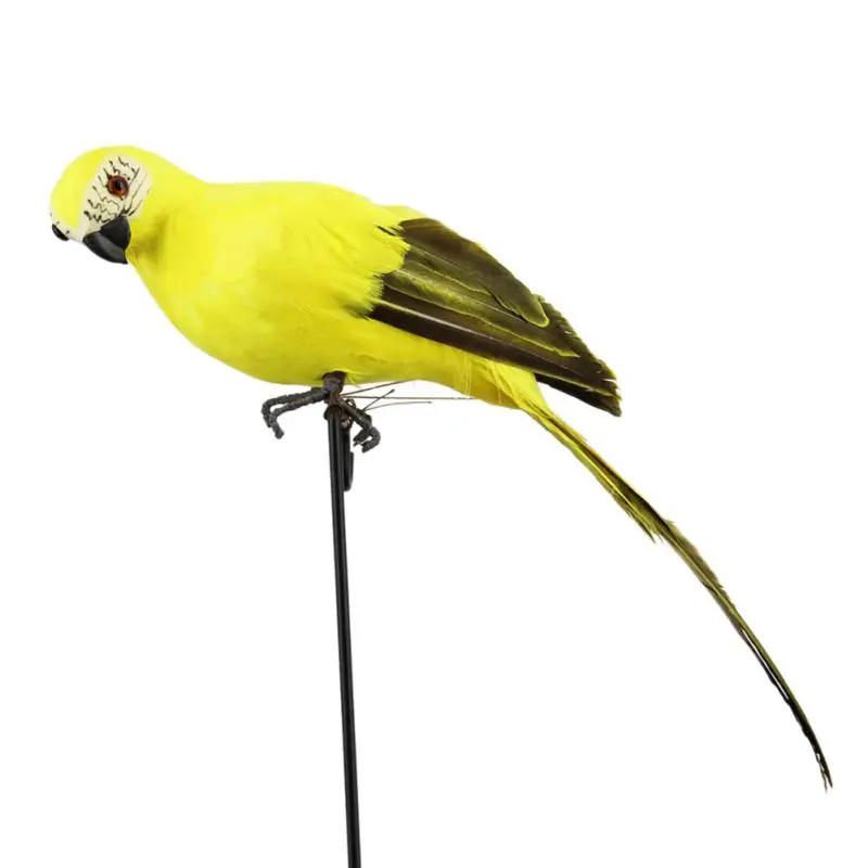 

Simulation Parrot Colorful Vivid Parrot Decorative Realistic Parrot Wall Hanging Home Furnishing Articles Photography Props