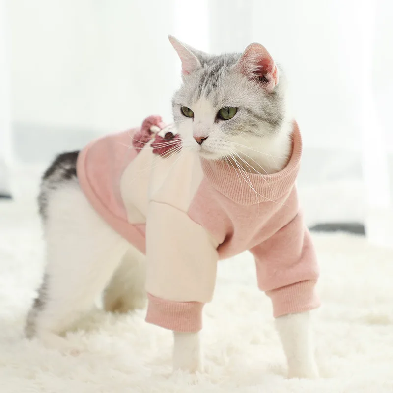 

Pet Products