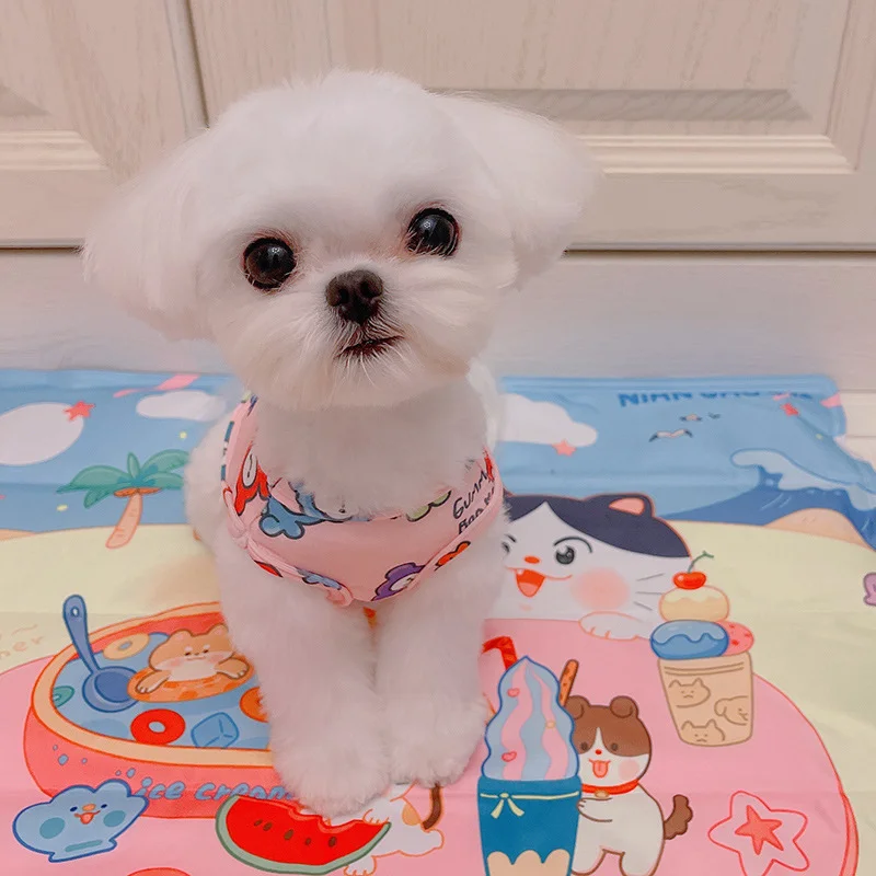 

Korea summer cute pet cartoon vest dog pet bichon teddy vest cat cute clothes cats and dogs universal