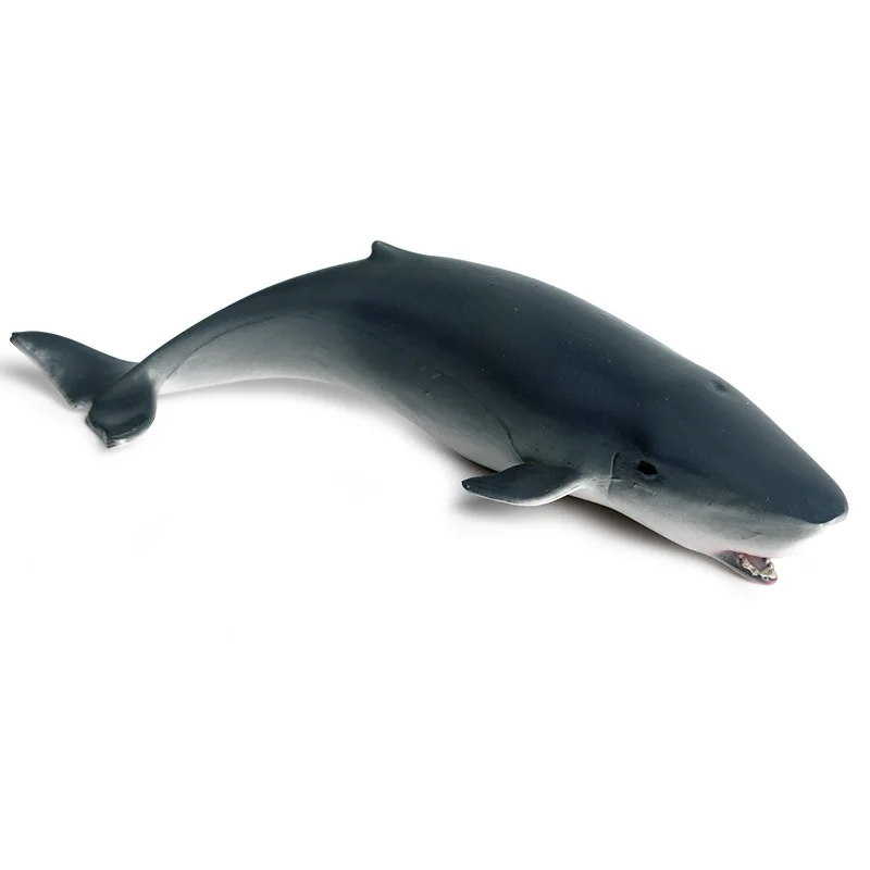

Little Spermacet Whale Animal Figure Collectible Toys Sea Animal Cognition Action Figures Kids Plastic Cement Toys