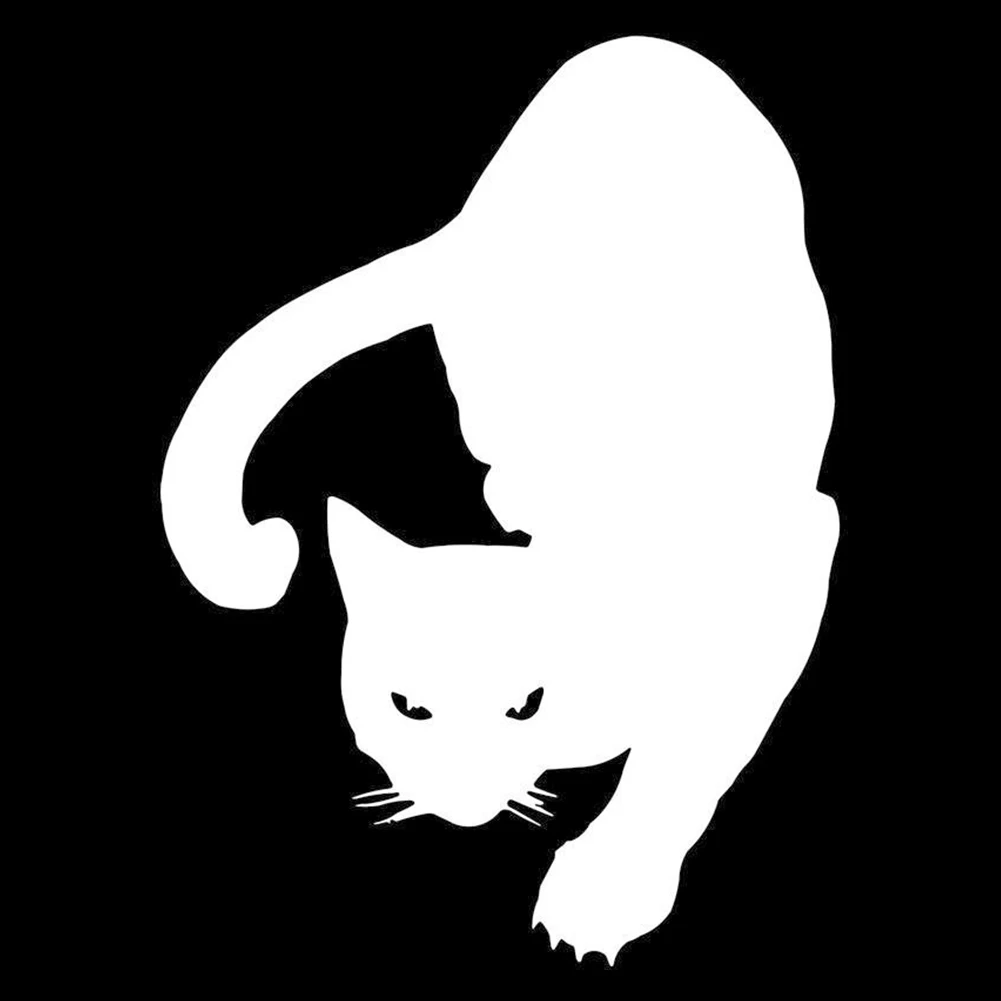 12*16 см декоративная царапина 1 шт. наружное украшение забавная Автомобильная