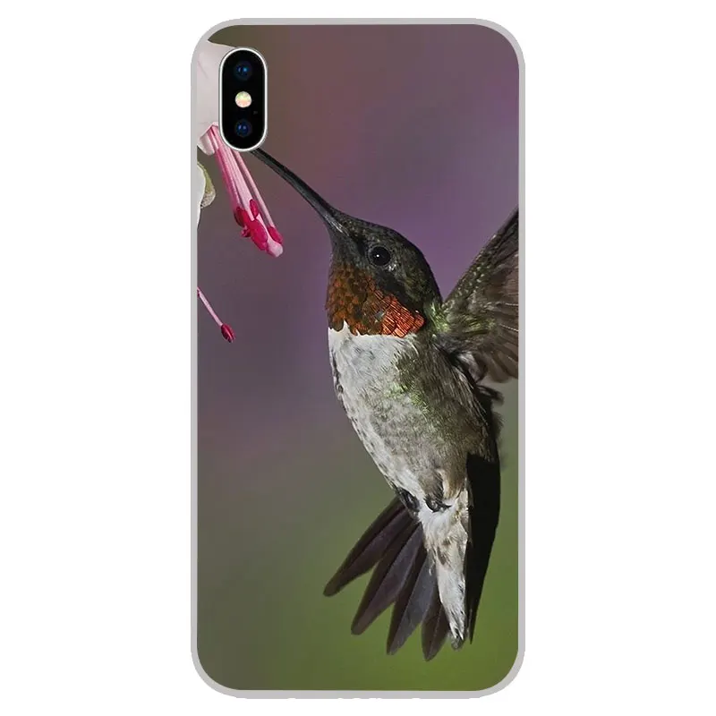 Силиконовые мягкие чехлы из ТПУ Колибри для iPhone 11 Pro XS Max X XR 8 7 6S Plus 5s SE 4S