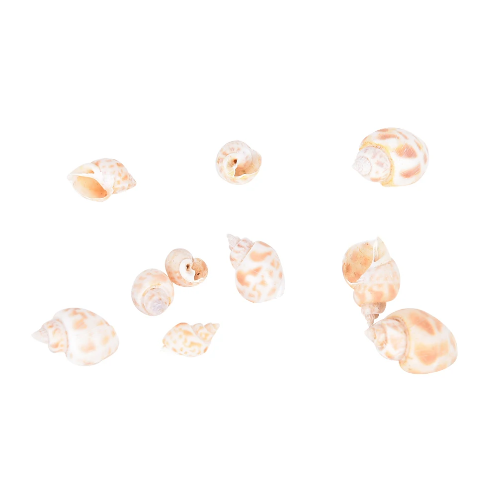 20 шт оптом натуральный пляж смешанные морские раковины аквариум декоративные