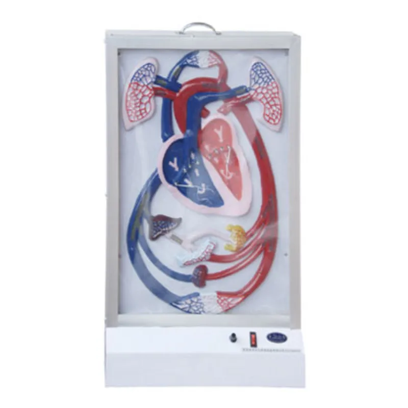 Медицинские вузы медицинские университеты учебные инструменты ручной