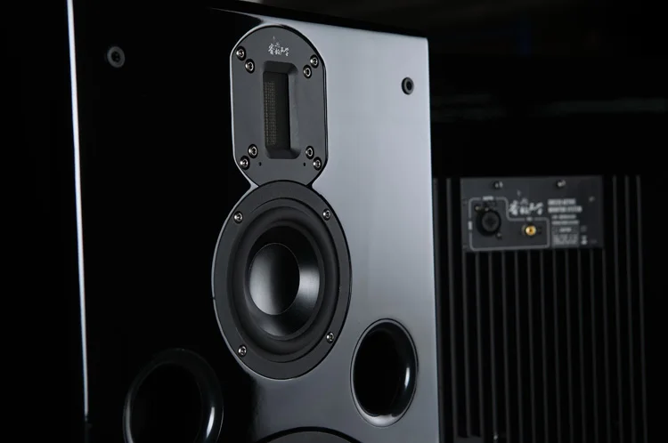 DM320 8-дюймовый трехполосный активный мониторинг динамик s Hifi динамик 8 дюймов бас 4 дюйма СЧ алюминий ВЧ