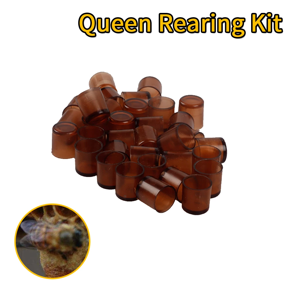 1000 шт. оборудование для пчеловодства|Инструменты пчеловодства| |