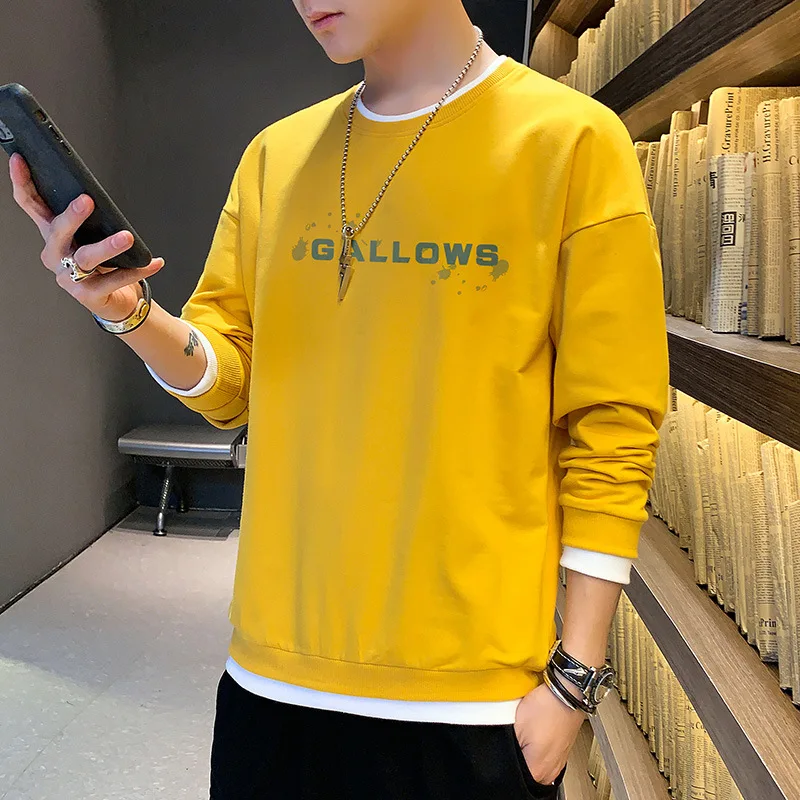 

sweatshirts men mens hoodie 3d hoodies 2020 Full Standard O-Neck Cotton Regular