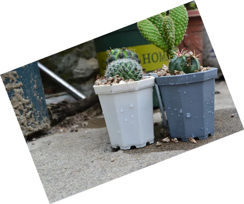 Восьмиугольный пластиковый цветочный горшок кактус сочный для растений