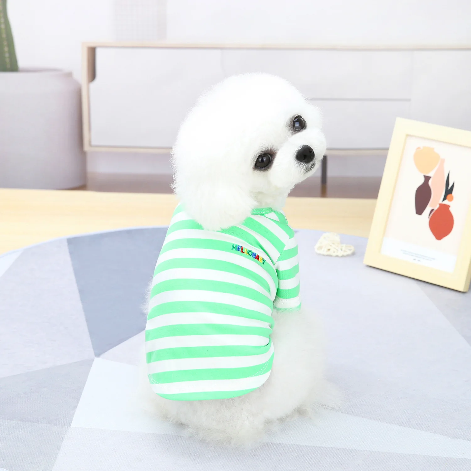 

Dog Clothes For Small Dogs Clothing Pet Coat Jacket Spring Clothes For Dog Coat Vest Puppy Yorkies Chihuahua Clothes
