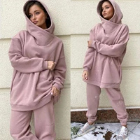 solid color hooded sweater 2021 hot sale new autumn winter fashion casual loose set woman two pieces womens fleece lined suit