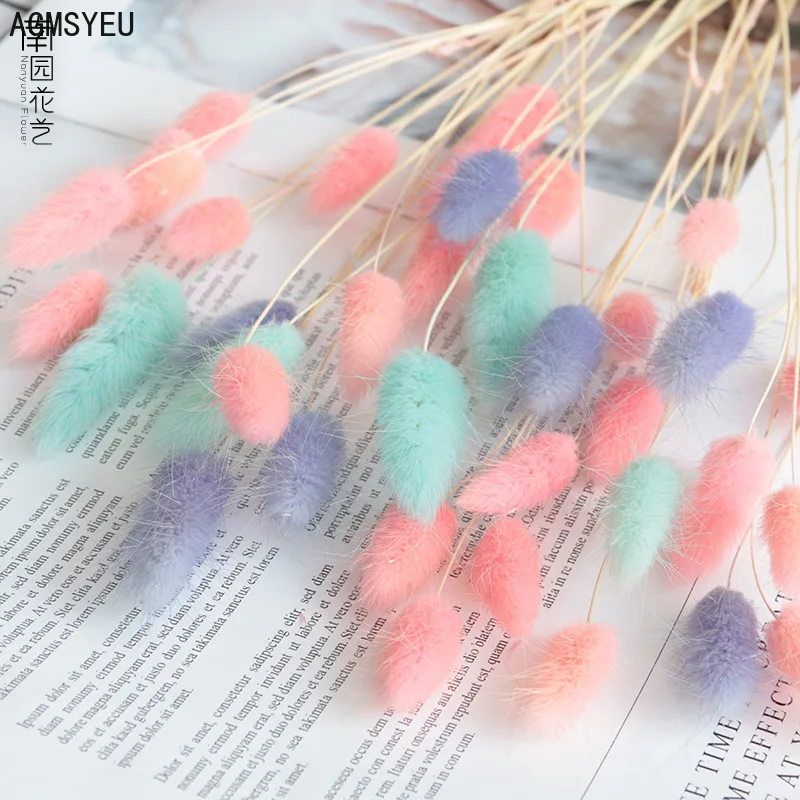 ΠΡΠΊΡΡΡΡΠ²Π΅Π½Π½ΡΠΉ ΡΠ²Π΅ΡΠΎΠΊ AGMSYEU, Π±ΡΠΊΠ΅Ρ ΡΠ°ΡΡΠ΅Π½ΠΈΠΉ, ΡΠΊΡΠ°ΡΠ΅Π½ΠΈΠ΅ Π΄Π»Ρ Π΄ΠΎΠΌΠ°, ΡΠ΅ΠΊΠ²ΠΈΠ·ΠΈΡ Π΄Π»Ρ ΡΠΎΡΠΎΠ³ΡΠ°ΡΠΈΠΉ, Π¦Π²Π΅ΡΠ½ΠΎΠΉ Π¦Π²Π΅ΡΠΎΠΊ ΡΠ°Π±Π±ΠΈΡΡΠ΅ΠΉΠ½Π°, ΠΈΡΠΊΡΡΡΡΠ²Π΅Π½Π½ΡΠΉ ΡΠ²Π΅ΡΠΎΠΊ ΠΡΠΊΡΡΡΡΠ²Π΅Π½Π½ΡΠΉ ΡΠ²Π΅ΡΠΎΠΊ AGMSYEU, Π±ΡΠΊΠ΅Ρ ΡΠ°ΡΡΠ΅Π½ΠΈΠΉ, ΡΠΊΡΠ°ΡΠ΅Π½ΠΈΠ΅ Π΄Π»Ρ Π΄ΠΎΠΌΠ°, ΡΠ΅ΠΊΠ²ΠΈΠ·ΠΈΡ Π΄Π»Ρ ΡΠΎΡΠΎΠ³ΡΠ°ΡΠΈΠΉ, Π¦Π²Π΅ΡΠ½ΠΎΠΉ Π¦Π²Π΅ΡΠΎΠΊ ΡΠ°Π±Π±ΠΈΡΡΠ΅ΠΉΠ½Π°, ΠΈΡΠΊΡΡΡΡΠ²Π΅Π½Π½ΡΠΉ ΡΠ²Π΅ΡΠΎΠΊ