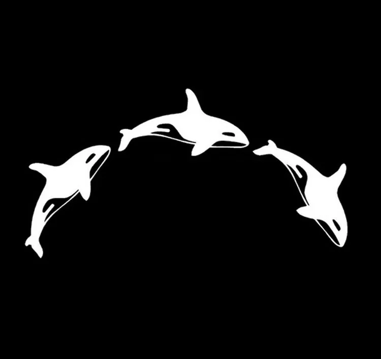 

Volkrays Fashion Car Sticker Orcinus Orca Motorcycle Accessories Reflective Waterproof Funny Vinyl Decal Black/Silver,7cm*14cm
