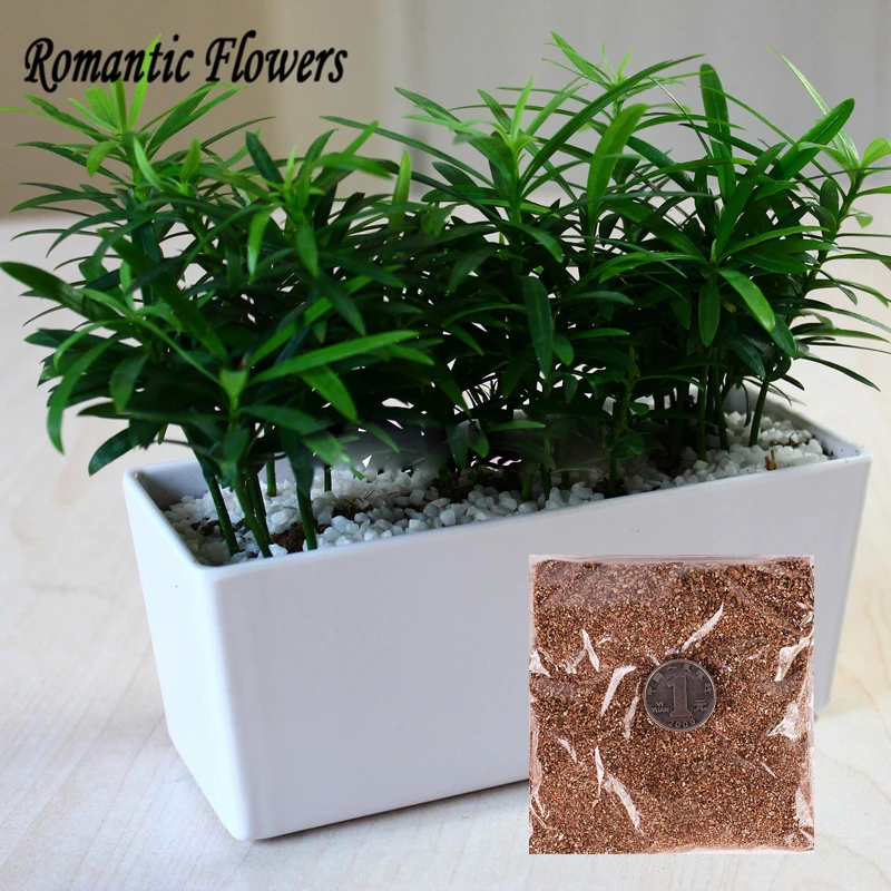 

1 Bag Mini Bottle Special Nutrition Soil Bean Stem Special Orchard Flower Plant Soil Plant Pot Bonsai Special Soil