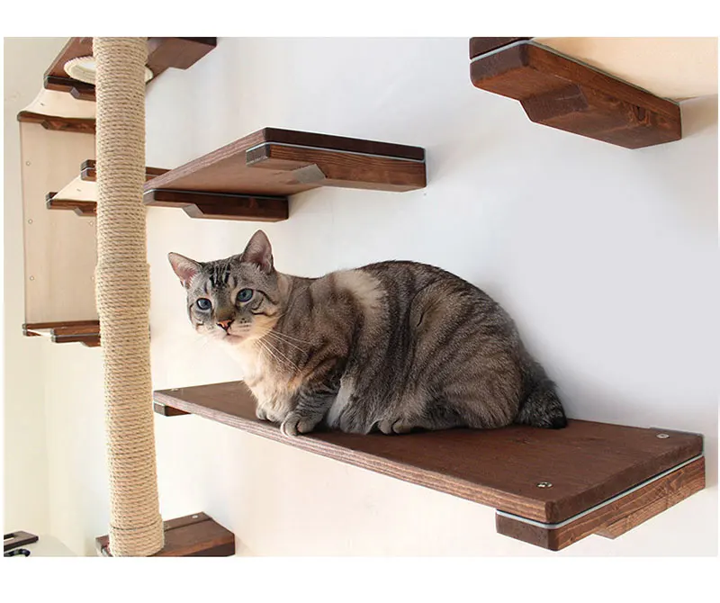 Wall-mounted Cat Solid Shelf Climbing Frame Cat Tree Hammock Pet Furniture Play House
