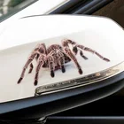 3D Автомобильная наклейка spider gecko scorpion для Subaru Forester Outback Legacy Impreza XV BRZ