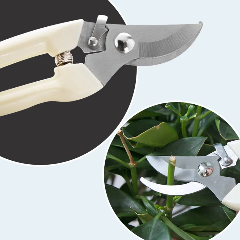 

Stainless Steel Tree Pruning Scissors Grafting Tool Garden Fruit Trees Scissors Bonsai Pruners Garden Shears Gardening Secateurs