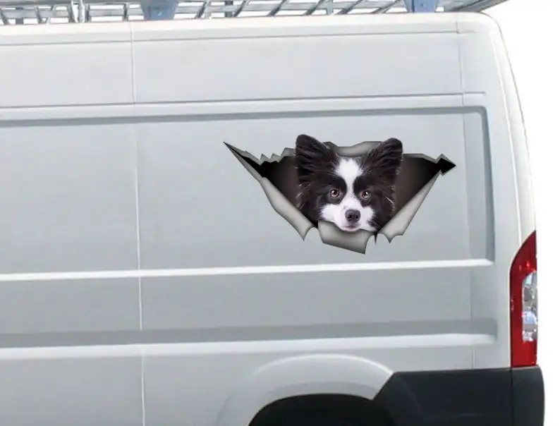 

2021 Black and White Pomeranian sticker, car decal, Pomeranian car decal