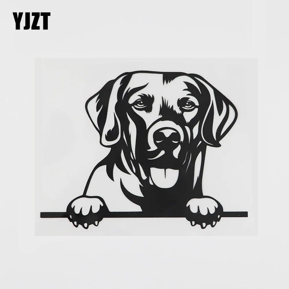 

YJZT 14,3 см x 10,9 см Виниловая наклейка с изображением песочника чесяпекэ-Бей ретривера, наклейка на автомобиль, черный/серебристый цвет 8A-0553