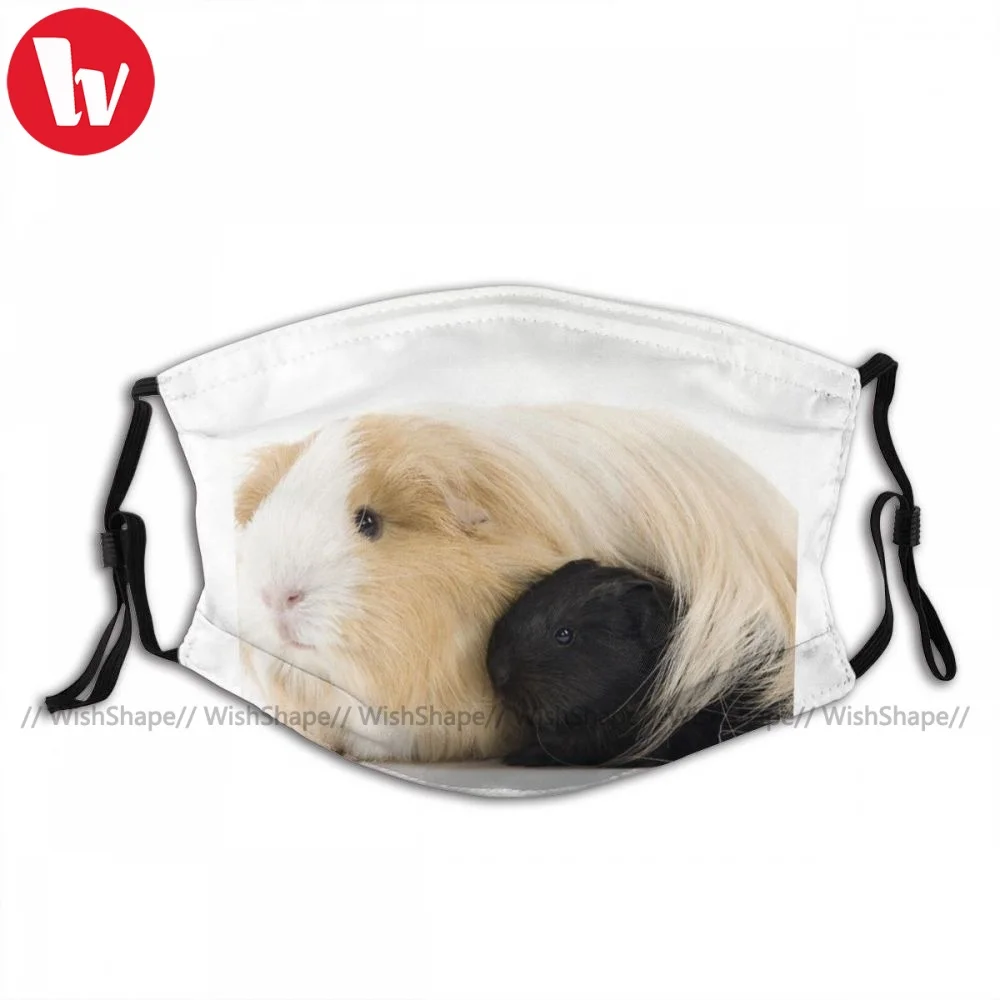 

Fast Delivery Adjustable Guinea Pig Face Mask Fancy Polyester Adults Mouth Facial Mask With Filters