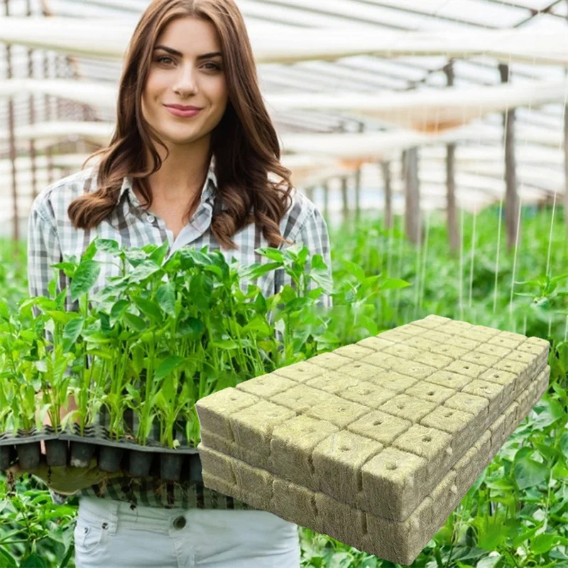 

50/100pcs Rockwool Sheet Block Propagation Cloning Seed Raising Soilless Cultivation Hydroponic Sponge Planting Planting Tool