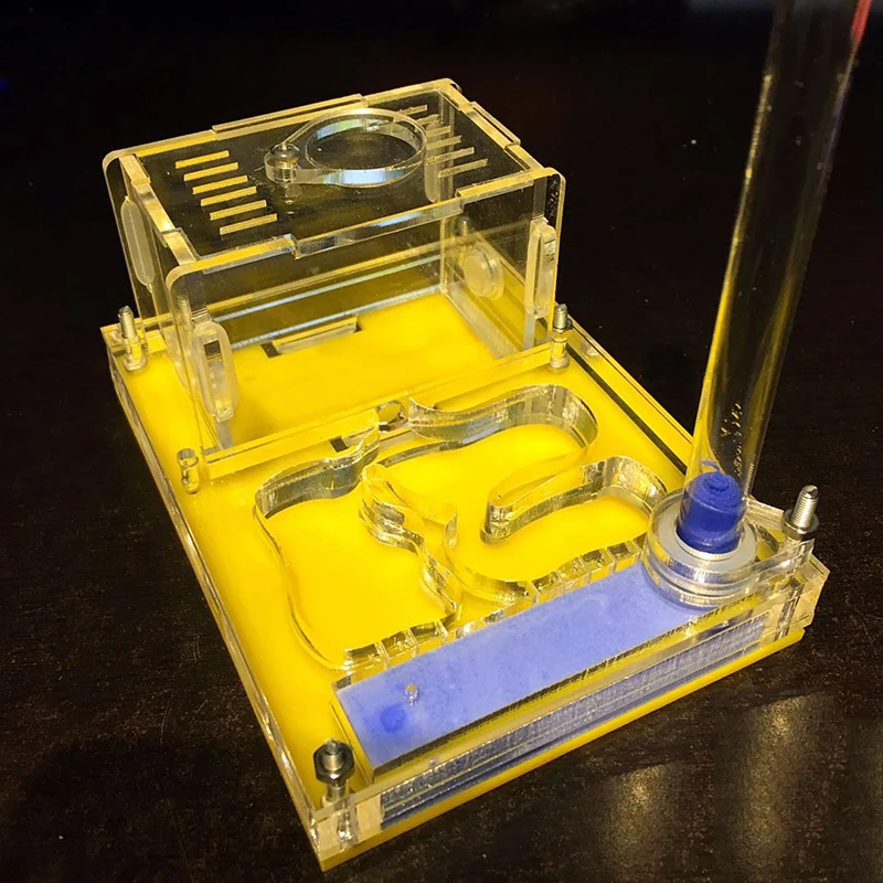 Акриловое гнездо для альпинизма виллы муравьев площадка активного отдыха с