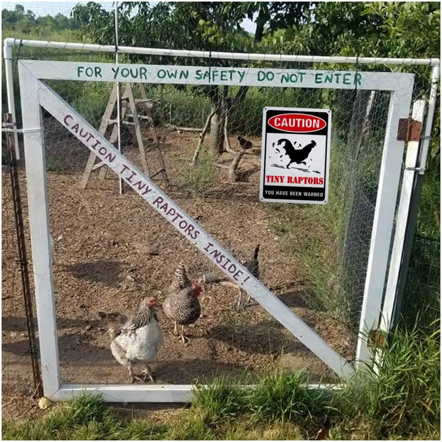 

Caution Tiny Raptors Sign, 8x12 inch Funny Chicken Coop Signs for Indoor or Outdoor
