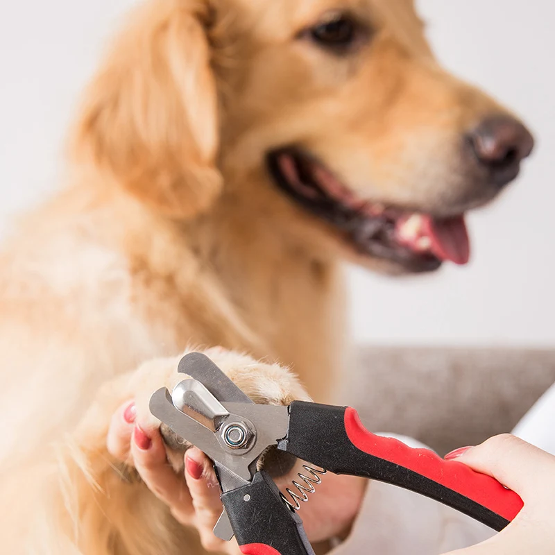 Hipidog щенок собачья из нержавеющей стали Pet кусачки для ногтей уход за пальцами